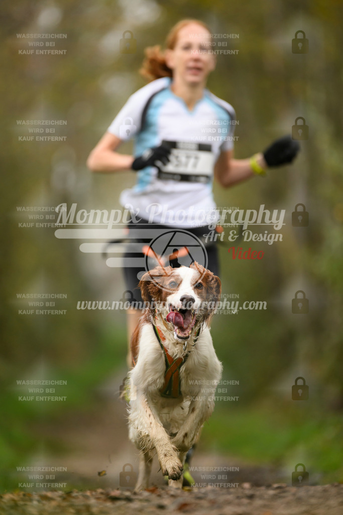 MompixPhotography_20TSB_E6_Run-91 | PayLife