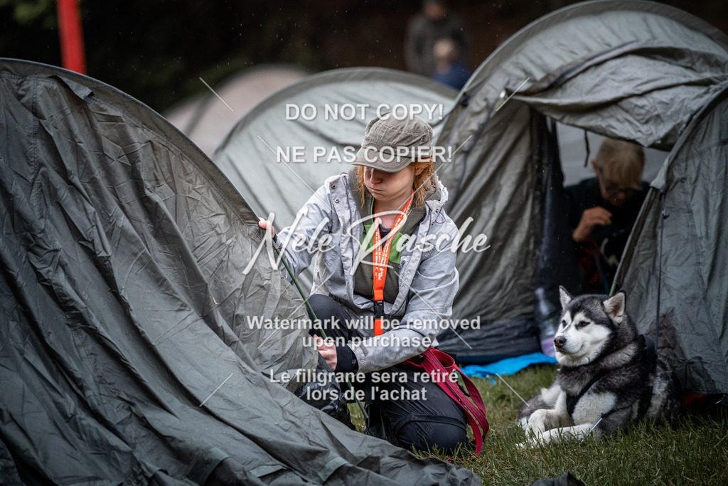 nelerasche_SaAbends_479 | nelerasche