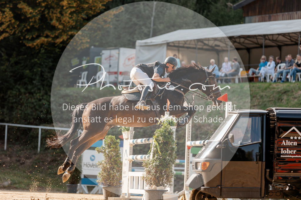 3I6A4688 | Stimmungsvolle Portraits und Reitsportfotografie im Ruhrgebiet und im Münsterland.

Pferdefotografie, Hundefotografie, Tierfotografie, Reportagen, Portraits von Tier und Mensch, Turnierfotografie in Bochum, Recklinghausen, Marl, Haltern am See, Dülmen.. - Realisiert mit Pictrs.com