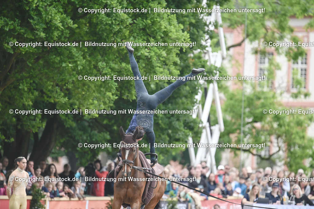 20240519_Voltige_0150 | Foto: Thomas Hartig