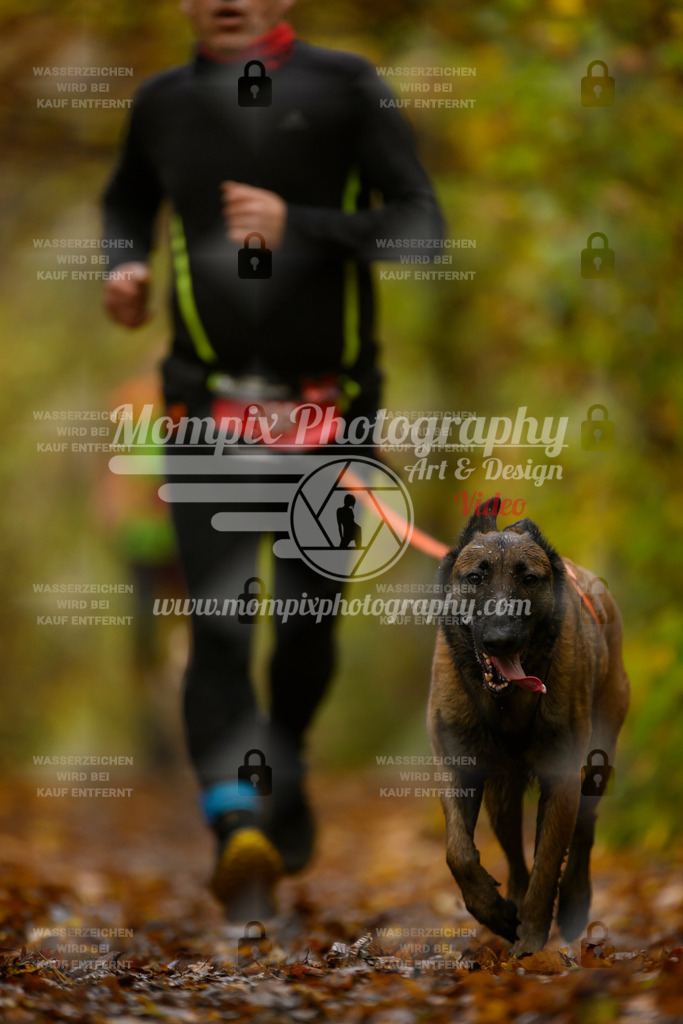 MompixPhotography_CD7S_DI_CCL-110 | mompixphotography