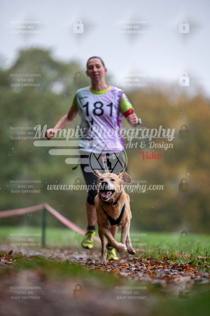 DBT_DAKM_SA_4_11_2023_Canicross-70 | PayLife
