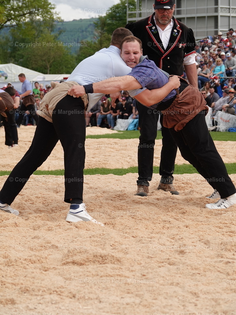 DSC06405 | Schwingen - Realisiert mit Pictrs.com