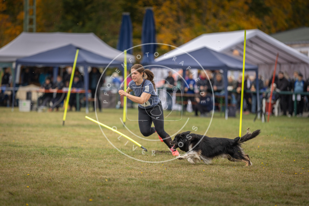 Pfotenfotografie_DV3A7504 | Hundefotografie, Tierfotograf, Pfotenfotografie, Fotoshooting Hund, Hunde Portrait, Hundesport, Hundeportraits, Heideshooting, Hunde, Sportfotograf, Hundefotograf, Turnierhundsport, THS,  - Realisiert mit Pictrs.com