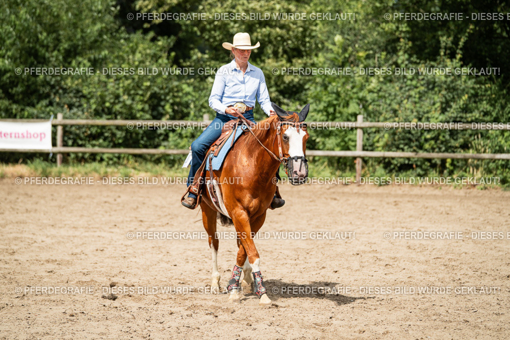 DSC02392 | Pferdegrafie