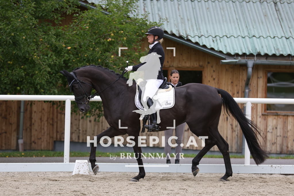 0P6A9140 | Willkommen bei Brunnmayr - Design & Fotografie – Ihrem Spezialisten für Reitturniere und Pferdeveranstaltungen in Oberösterreich, Salzburg und Bayern! Seit über 17 Jahren sind wir leidenschaftlich dabei.
