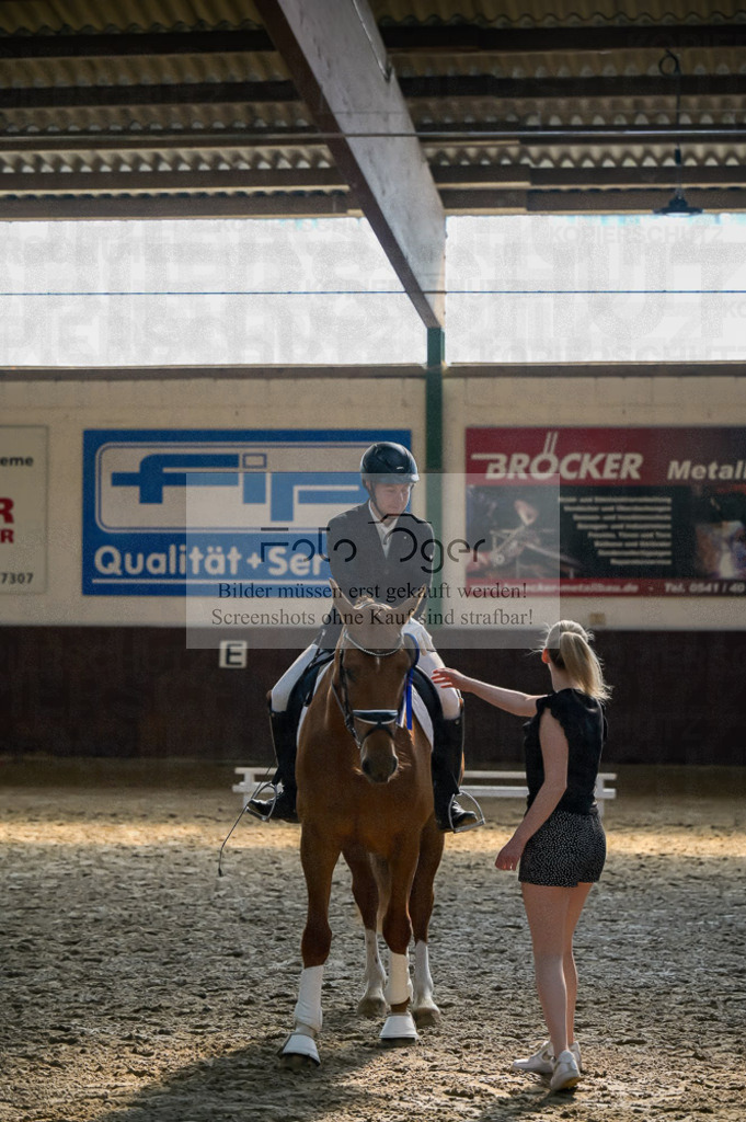 Reitturnier Voxtrup | Entdecke hochwertige Reitturnierfotos von Foto Oger. Professionell, emotional und authentisch – jetzt Lieblingsmomente im Shop bestellen.Deutschlandweite Turnierfotografie. - Realisiert mit Pictrs.com