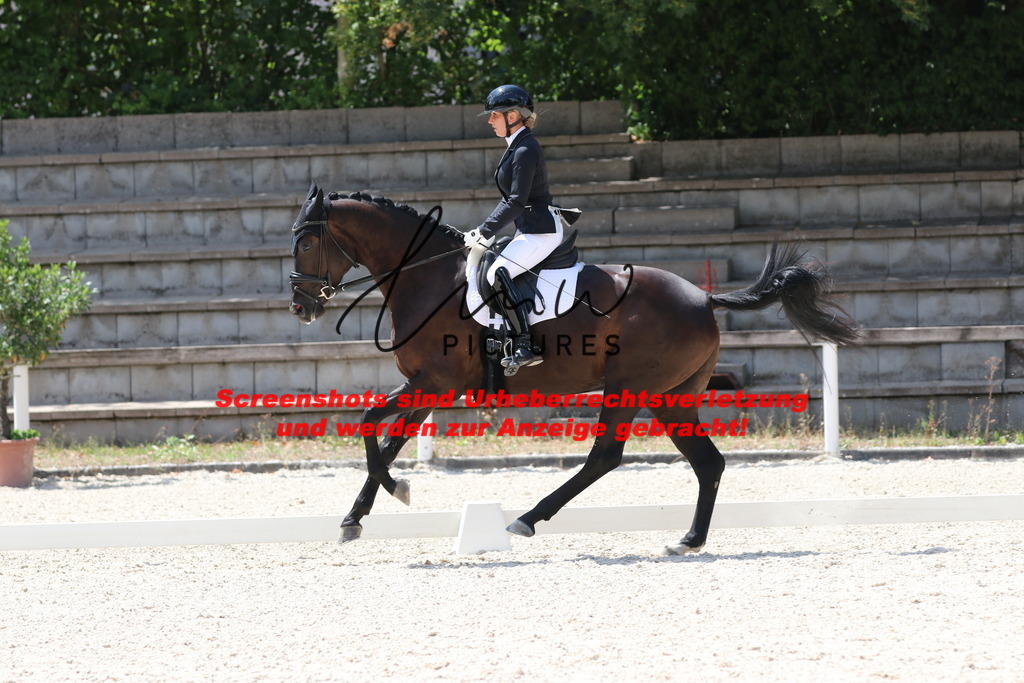 IMG_4867 | lmwpictures - Realisiert mit Pictrs.com