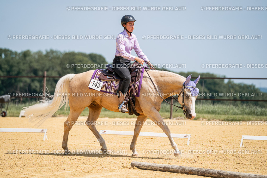 DSC01112 | Pferdegrafie