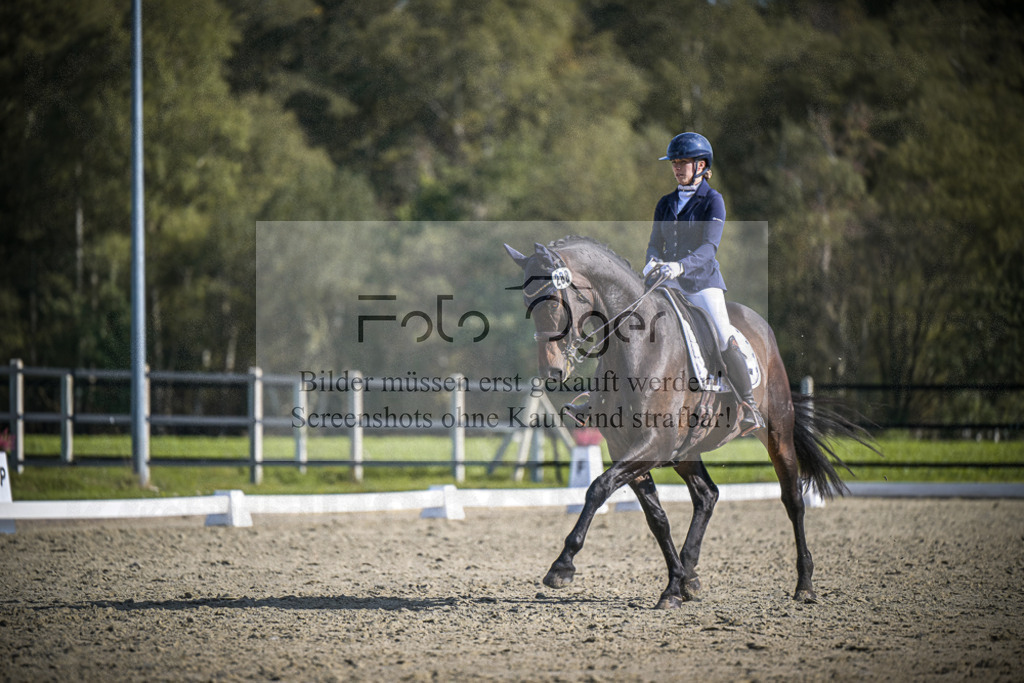 DOS_2633 | Entdecke hochwertige Reitturnierfotos von Foto Oger. Professionell, emotional und authentisch – jetzt Lieblingsmomente im Shop bestellen.Deutschlandweite Turnierfotografie. - Realisiert mit Pictrs.com