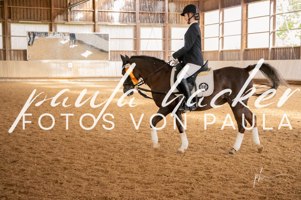 IMG_3491 | Erleben Sie dynamische Sport- und emotionale Tierfotografie in Süddeutschland mit Fotos von Paula. Spezialisiert auf Pferde- und Hundefotografie sowie Sportevents. Kontaktieren Sie mich für einzigartige und ausdrucksstarke Bilder Ihrer besonderen Momente. - Realisiert mit Pictrs.com