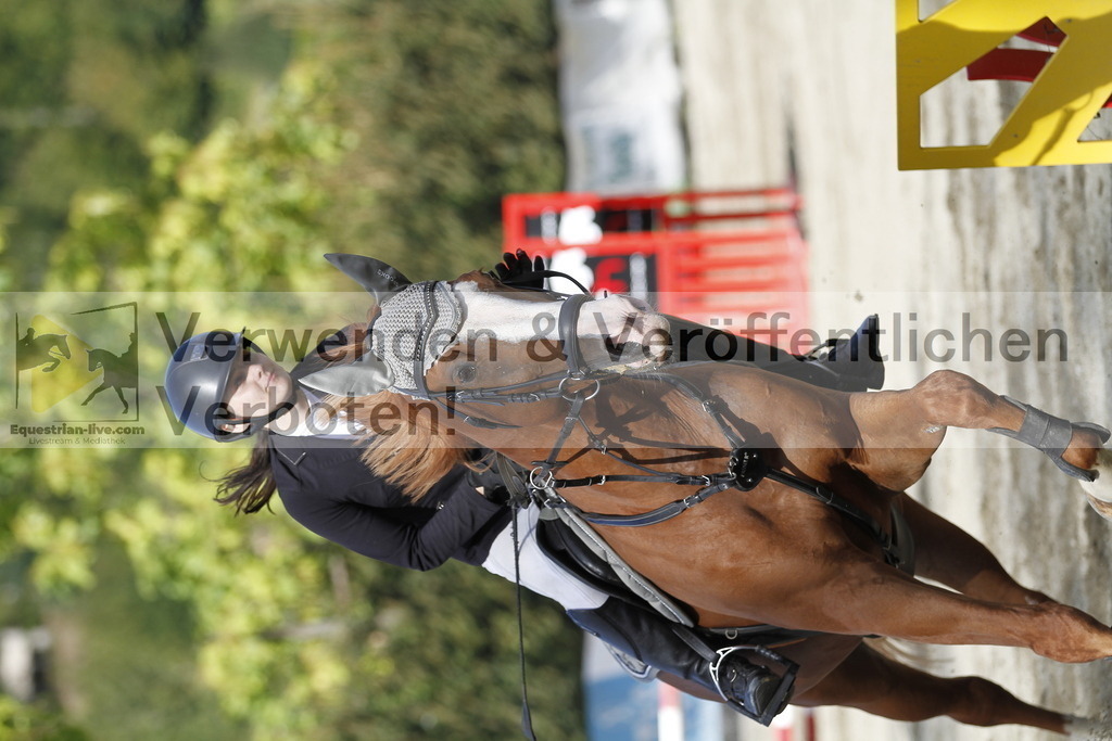 _MG_3611 | equestrian-live-com