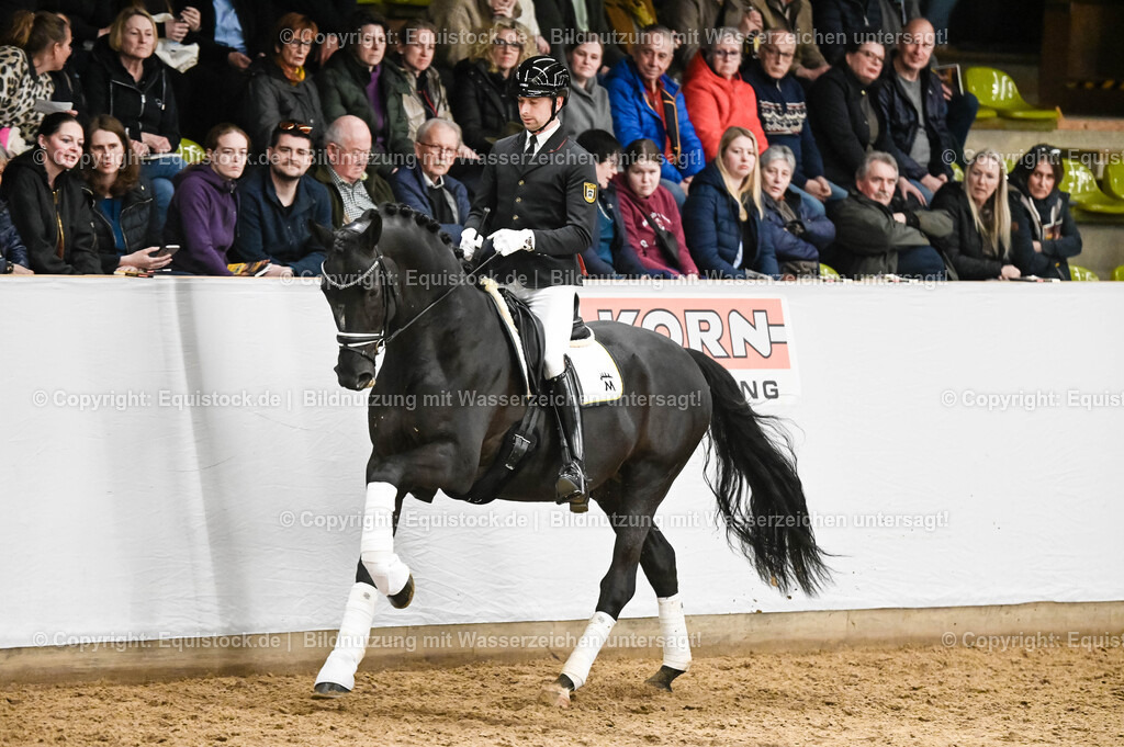 20260307_Hengstvorstellung-Marbach_0248 | equistock