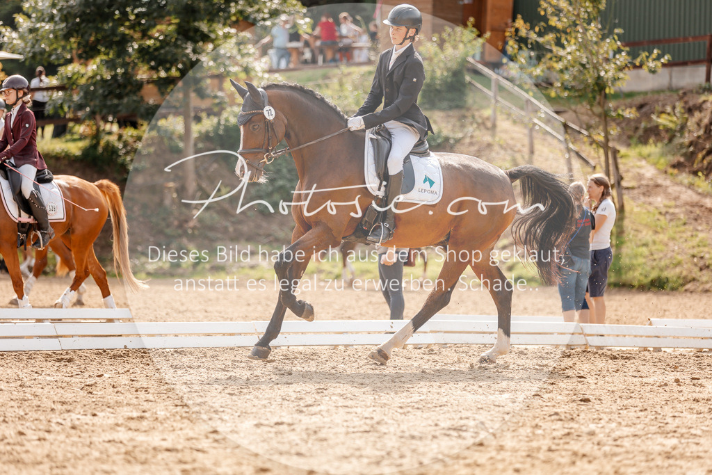 3I6A4283 | Stimmungsvolle Portraits und Reitsportfotografie im Ruhrgebiet und im Münsterland.

Pferdefotografie, Hundefotografie, Tierfotografie, Reportagen, Portraits von Tier und Mensch, Turnierfotografie in Bochum, Recklinghausen, Marl, Haltern am See, Dülmen.. - Realisiert mit Pictrs.com