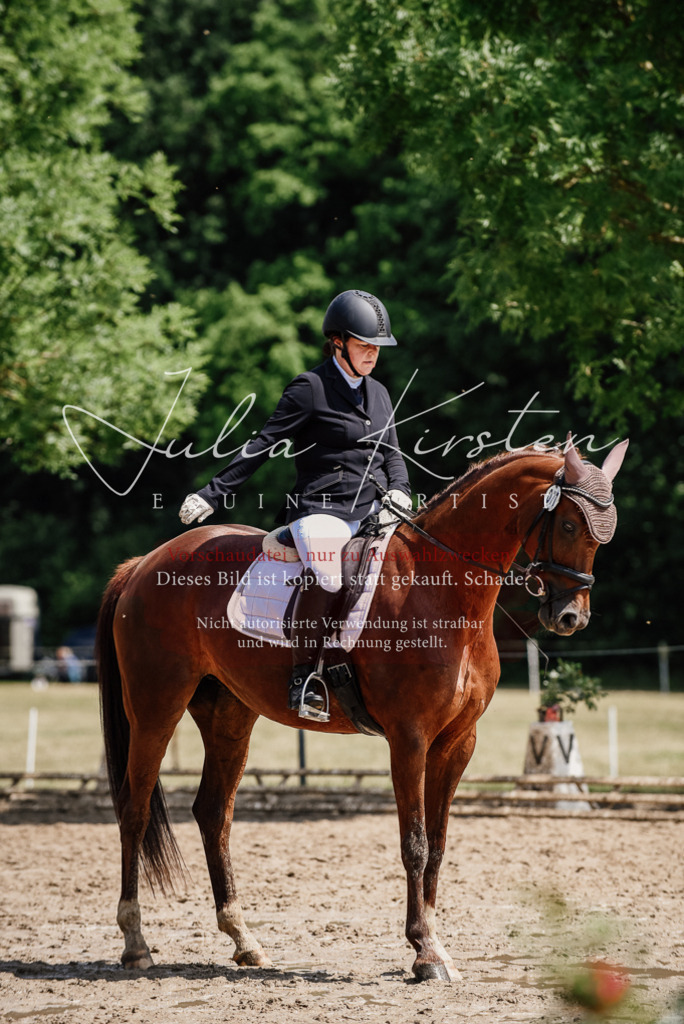 DSC_1273 | Pferde- und Turnierfotografie in Westsachsen. Pferdeportraits, Auftragszeichnungen und intuitive Kunst.