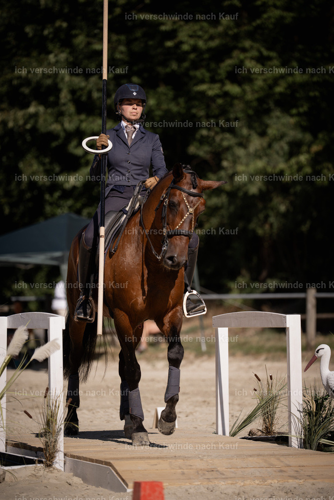 WS_ST_46_stoibphotography_SO11810 | working equitationturnier fotograf videograf stoibphotography marixx film working equitation deutschland reitsport turnierfotografie eventfotografie equestrian events