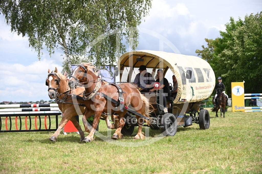 DSC_6925 | sattelsport - Realisiert mit Pictrs.com