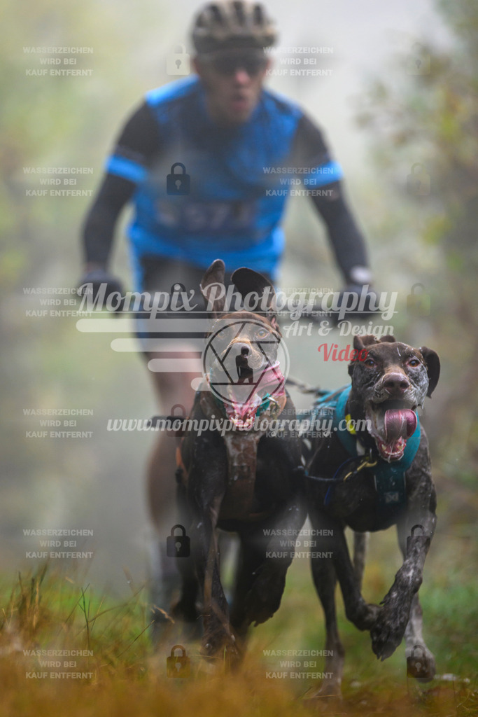 MompixPhotography_20TSB_E4_DS2-11 | PayLife