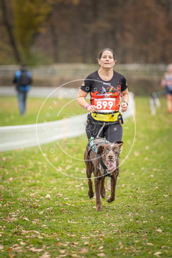 CaniXpix_DV3A6914 | Hundefotografie, Tierfotograf, Pfotenfotografie, Fotoshooting Hund, Hunde Portrait, Hundesport, Hundeportraits, Heideshooting, Hunde, Sportfotograf, Hundefotograf, Turnierhundsport, THS,  - Realisiert mit Pictrs.com