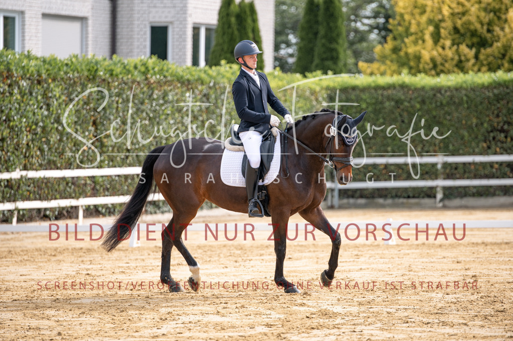 Schugtsche-Aluta25-40.DressurprfA_-186 | Schugtsche Fotografie - Realisiert mit Pictrs.com