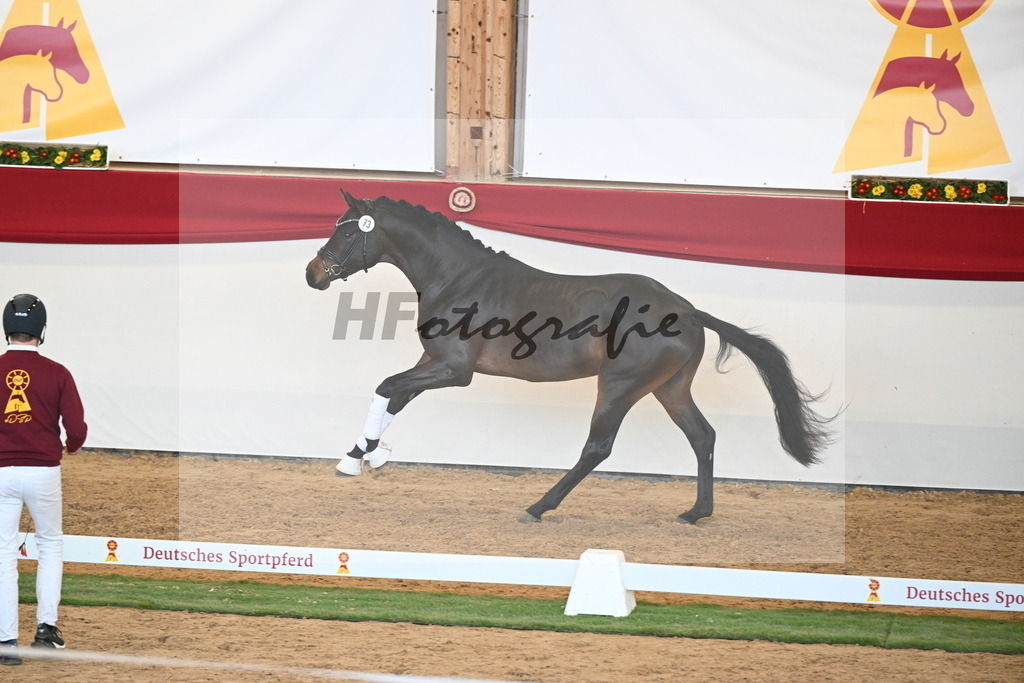 Kat.-Nr. 73 v. McLaren_Schulze Averdiek_2250645 | hf-fotografie - Realisiert mit Pictrs.com