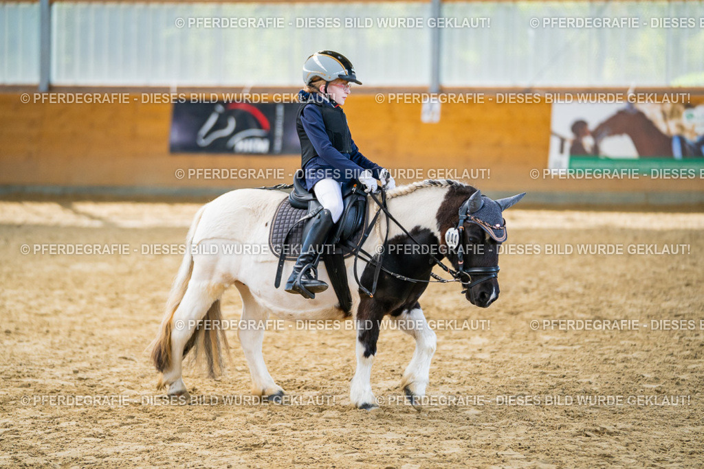 DSC01532 | Pferdegrafie