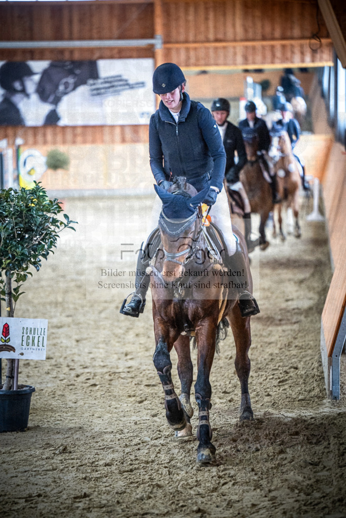 DOS_0049 | Entdecke hochwertige Reitturnierfotos von Foto Oger. Professionell, emotional und authentisch – jetzt Lieblingsmomente im Shop bestellen.Deutschlandweite Turnierfotografie. - Realisiert mit Pictrs.com