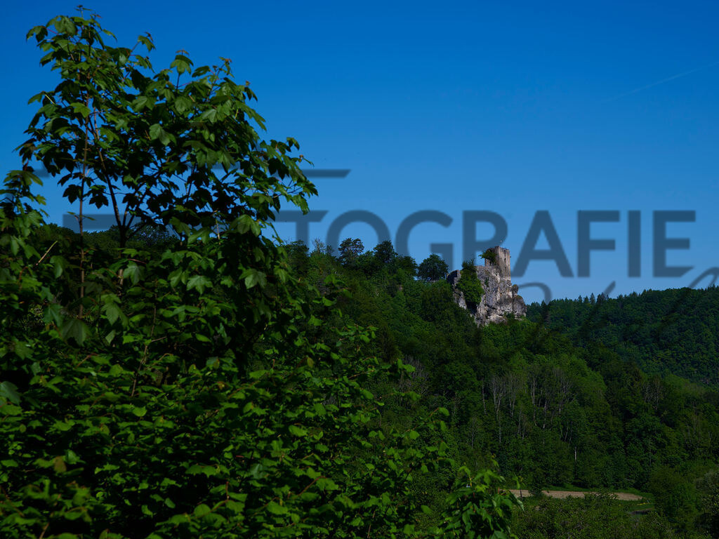 Pfingsten_DSC9139 | Fotobox, Portraitfotografie, Hochzeitsfotografie, Bewerbungsfoto - Realisiert mit Pictrs.com