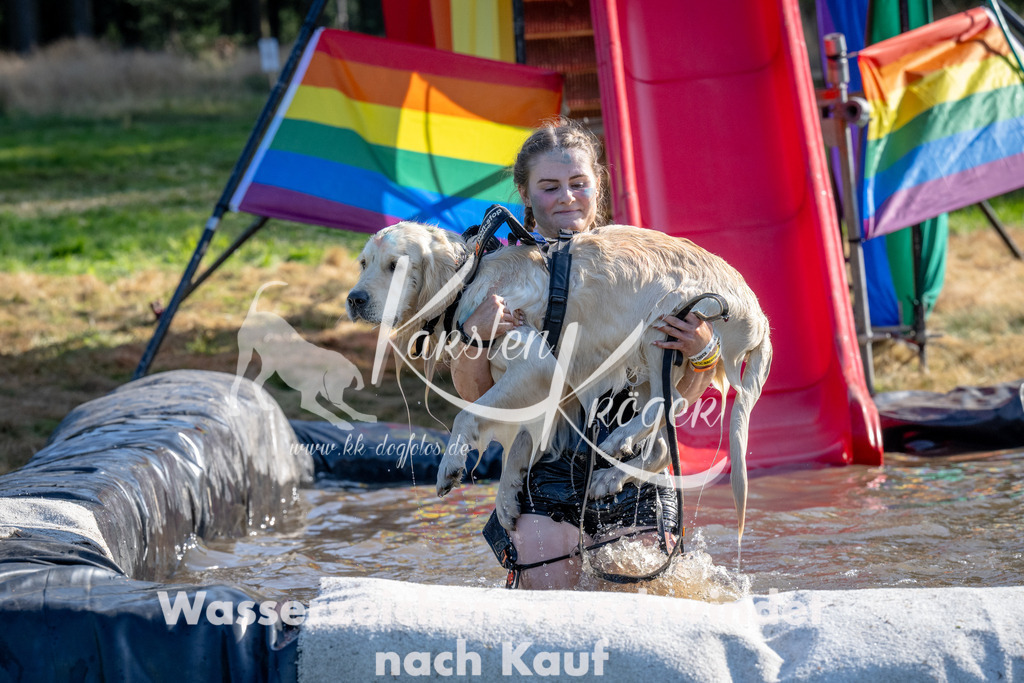 1656_ZZ92617 | kk-dogfotos