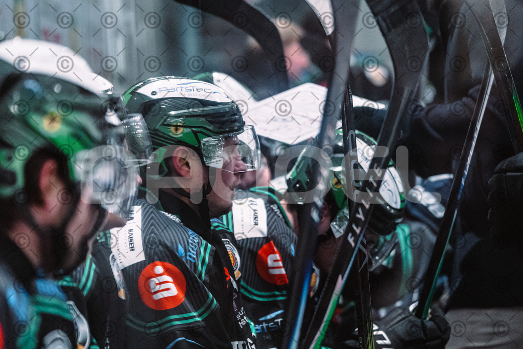 Alligators_vs_Memmingen_05_12_2025-175 | Höchstadt Alligators Fotogalerie: Eishockey-Action aus Franken. Professionelle Spielfotos, Portraits & Stadionbilder zum Download. Jetzt entdecken! - Realisiert mit Pictrs.com