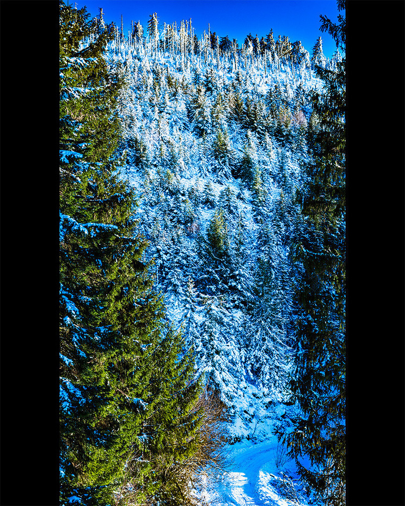 DSC06011 | fotografie33