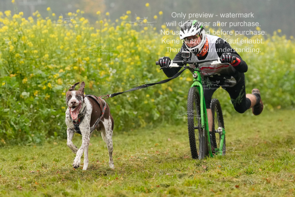 AusschnitteSa-33 | stephaniefillaphotographie - Realisiert mit Pictrs.com