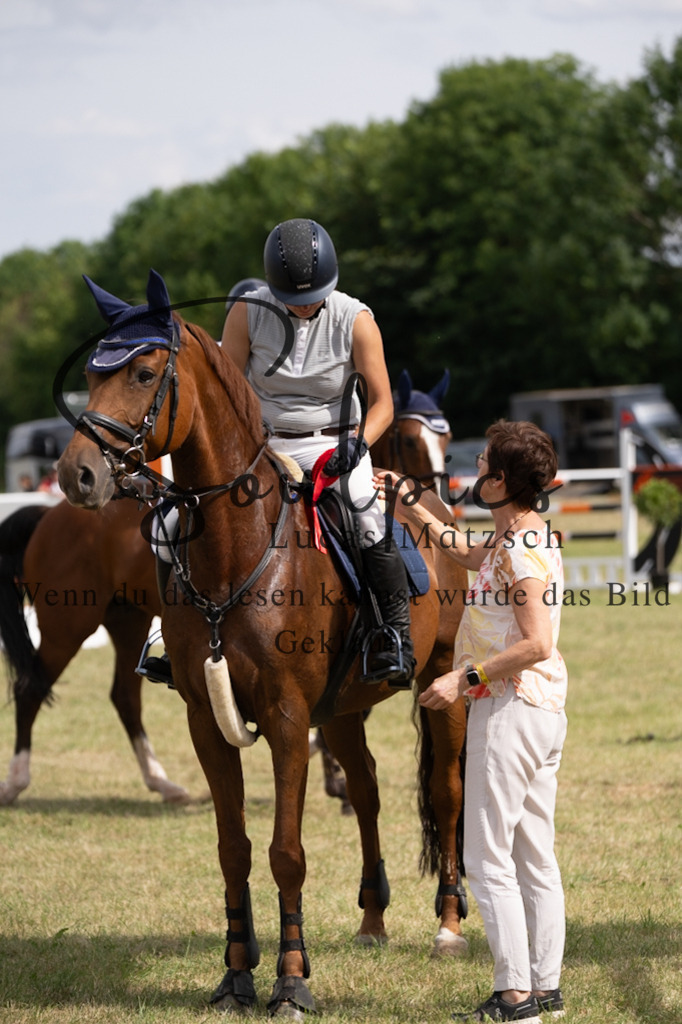 A7V02561 | Pferdefotograf