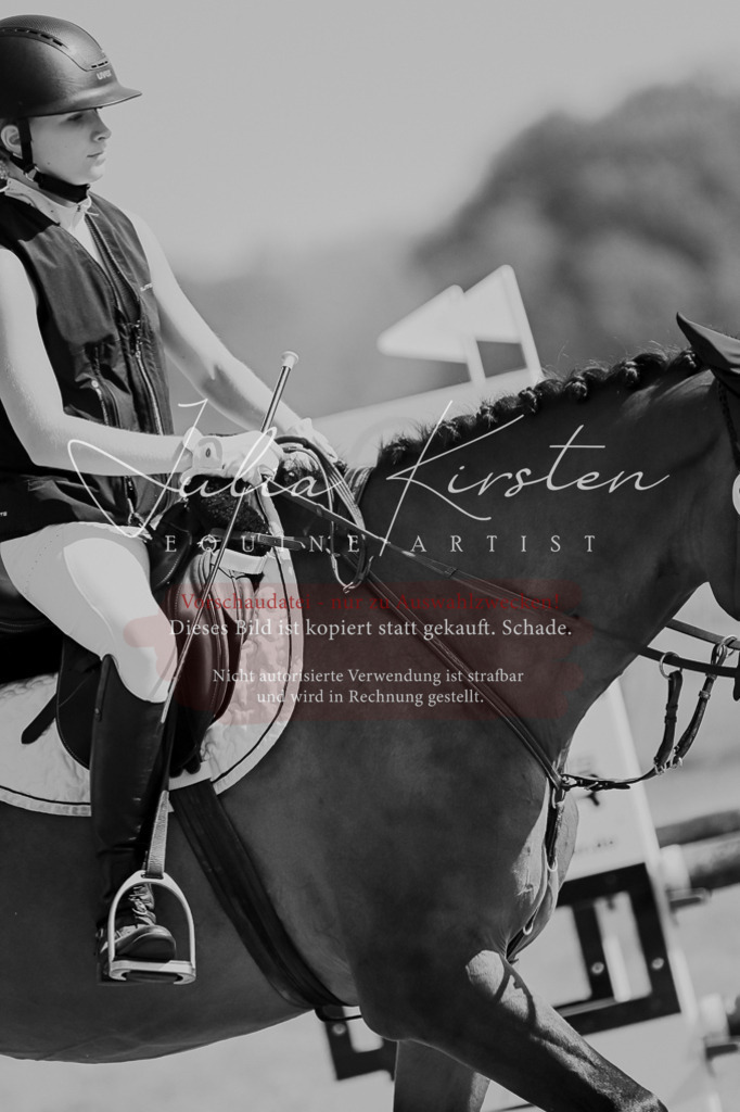 DSC_9569 | Pferde- und Turnierfotografie in Westsachsen. Pferdeportraits, Auftragszeichnungen und intuitive Kunst.