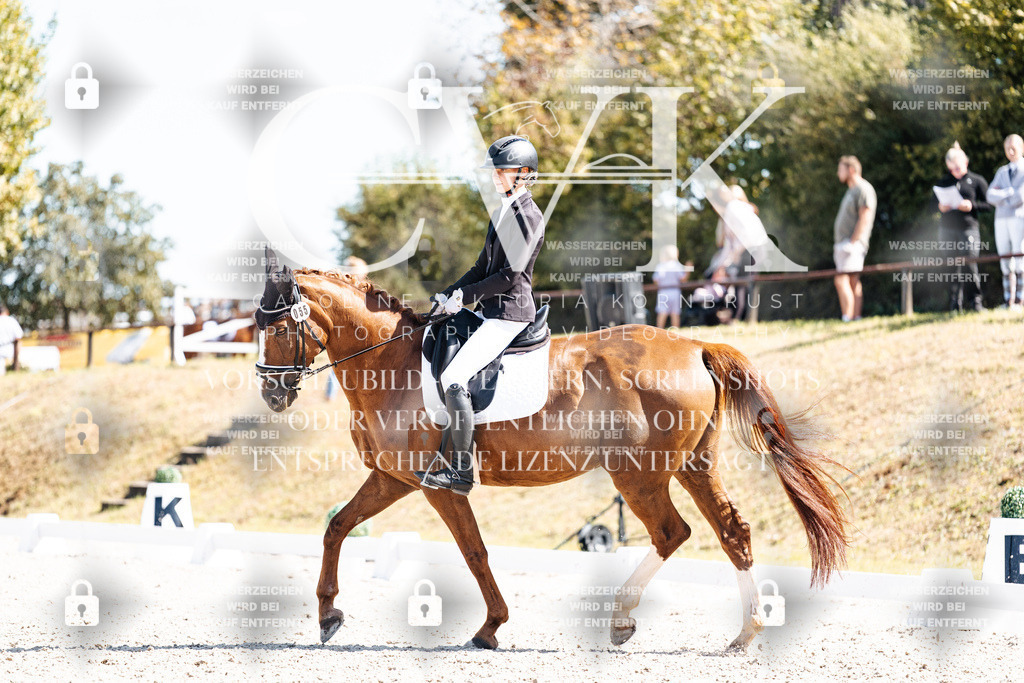 CK903909 | Turnierfotografie Pferdefotografie Trier Rheinland-Pfalz Pferdesport Reitsport Tierfotografie Sportfotografie Pferdevideo Pferdevideografie Equestrianvideography equestrianphotography  - Realisiert mit Pictrs.com