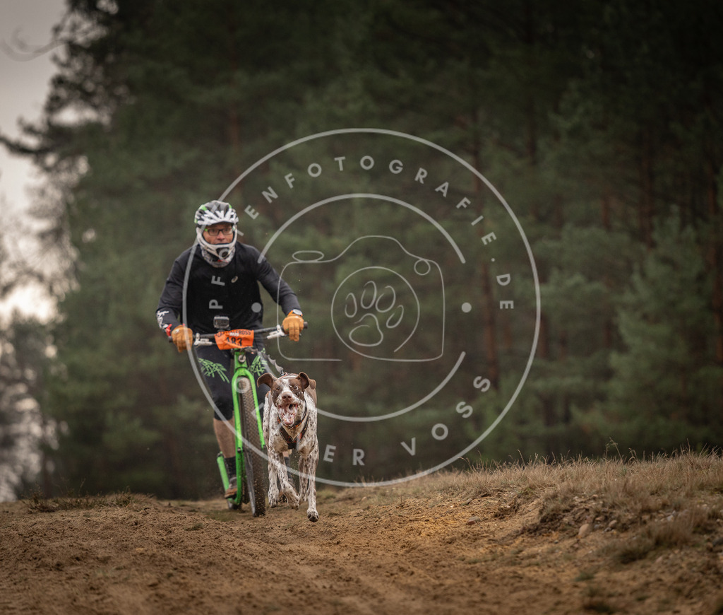 Pfotenfotografie_DV3A4734 | Hundefotografie, Tierfotograf, Pfotenfotografie, Fotoshooting Hund, Hunde Portrait, Hundesport, Hundeportraits, Heideshooting, Hunde, Sportfotograf, Hundefotograf, Turnierhundsport, THS,  - Realisiert mit Pictrs.com