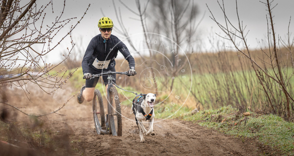 DV3A9203 | Hundefotografie, Tierfotograf, Pfotenfotografie, Fotoshooting Hund, Hunde Portrait, Hundesport, Hundeportraits, Heideshooting, Hunde, Sportfotograf, Hundefotograf, Turnierhundsport, THS,  - Realisiert mit Pictrs.com