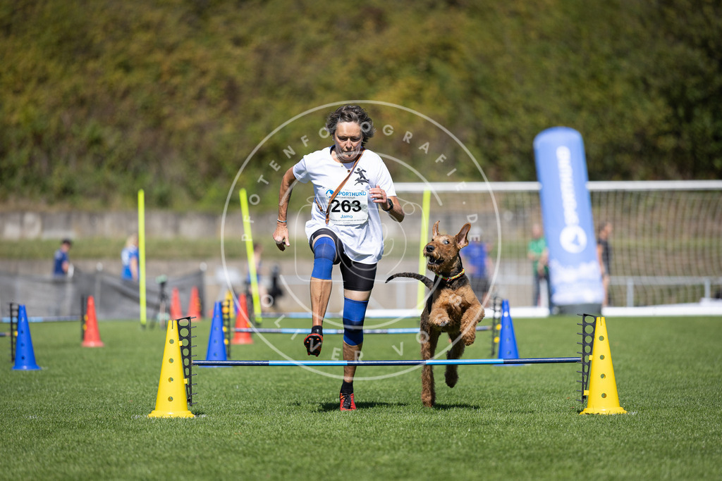 Pfotenfotografie_DV3A6576 | Hundefotografie, Tierfotograf, Pfotenfotografie, Fotoshooting Hund, Hunde Portrait, Hundesport, Hundeportraits, Heideshooting, Hunde, Sportfotograf, Hundefotograf, Turnierhundsport, THS,  - Realisiert mit Pictrs.com