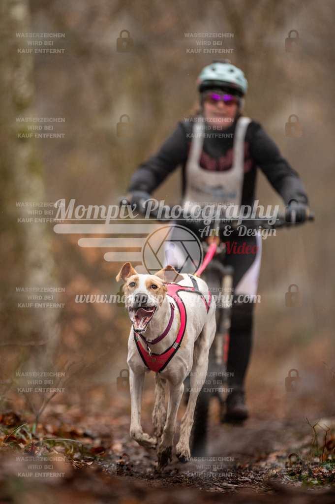Reiat2023_SON_Bike_5km_1H-35 | PayLife
