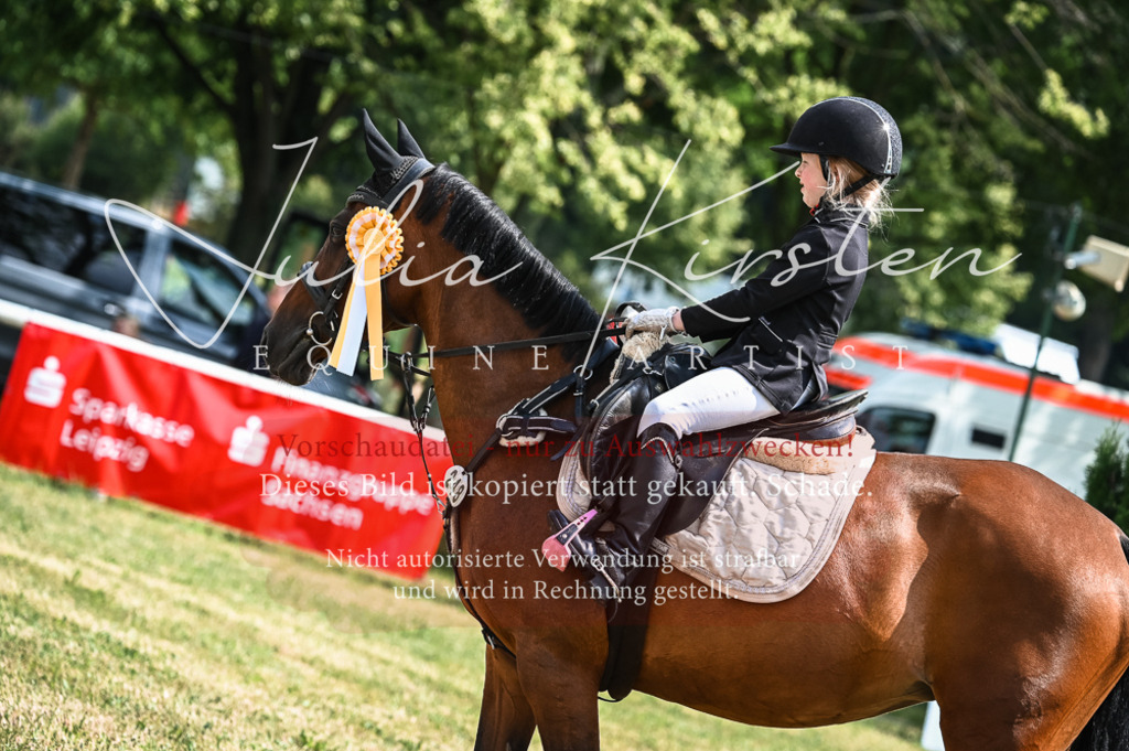 DSC_8626 | Pferde- und Turnierfotografie in Westsachsen. Pferdeportraits, Auftragszeichnungen und intuitive Kunst.