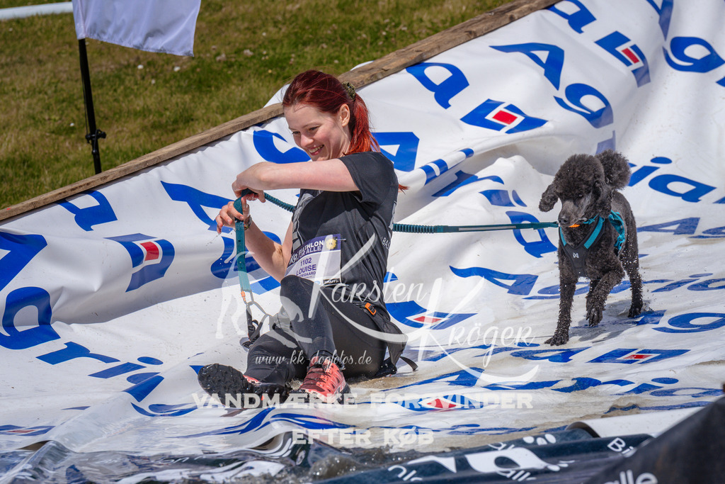 _ZZ989831049 | kk-dogfotos