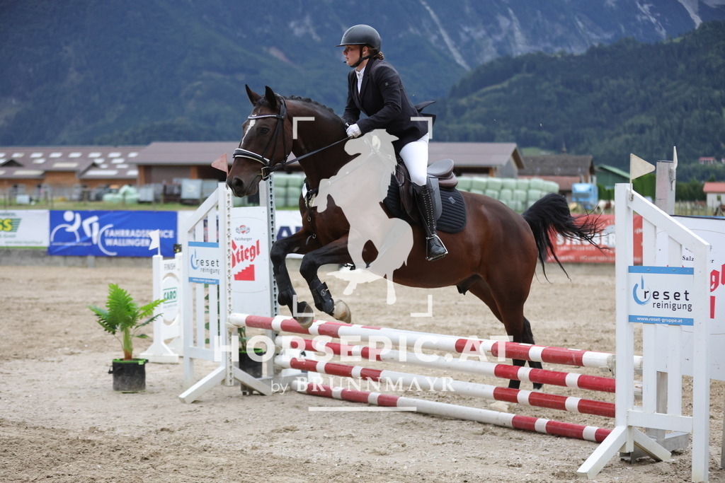 0P6A0401 | Willkommen bei Brunnmayr - Design & Fotografie – Ihrem Spezialisten für Reitturniere und Pferdeveranstaltungen in Oberösterreich, Salzburg und Bayern! Seit über 17 Jahren sind wir leidenschaftlich dabei.
