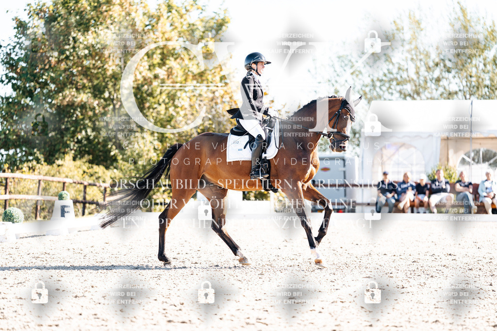 CK908657 | Turnierfotografie Pferdefotografie Trier Rheinland-Pfalz Pferdesport Reitsport Tierfotografie Sportfotografie Pferdevideo Pferdevideografie Equestrianvideography equestrianphotography  - Realisiert mit Pictrs.com
