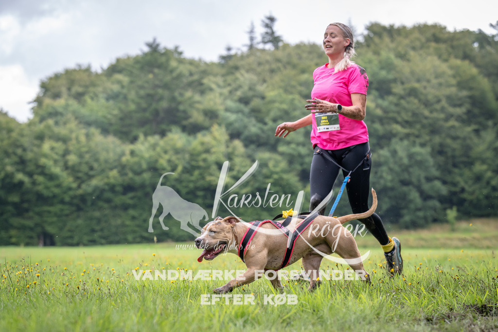 0916_ZZ90734 | kk-dogfotos