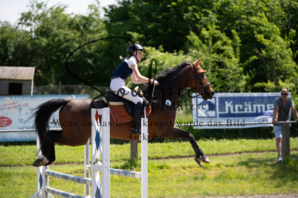 A7V03211 | Pferdefotograf