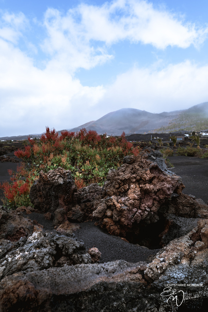 20250322-155833 LA PALMA_209-1 | Herzlich willkommen auf meiner Seite! Ich bin Elke Wallnisch, Deine Fotografin für lichtstarke Momente. Der Name steht für alles, was mich mit der Fotografie verbindet: Das Licht und seine machtvolle Wirkung auf eine Situation oder unsere Stimmung - Realisiert mit Pictrs.com