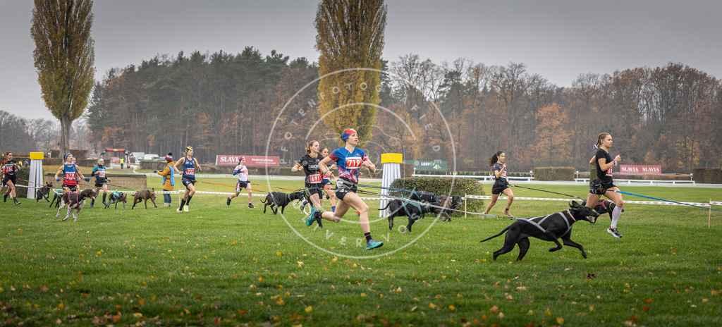 CaniXpix_DV3A8758 | Hundefotografie, Tierfotograf, Pfotenfotografie, Fotoshooting Hund, Hunde Portrait, Hundesport, Hundeportraits, Heideshooting, Hunde, Sportfotograf, Hundefotograf, Turnierhundsport, THS,  - Realisiert mit Pictrs.com