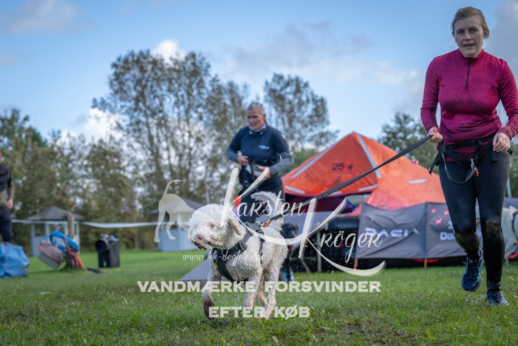 1256-90221 | kk-dogfotos