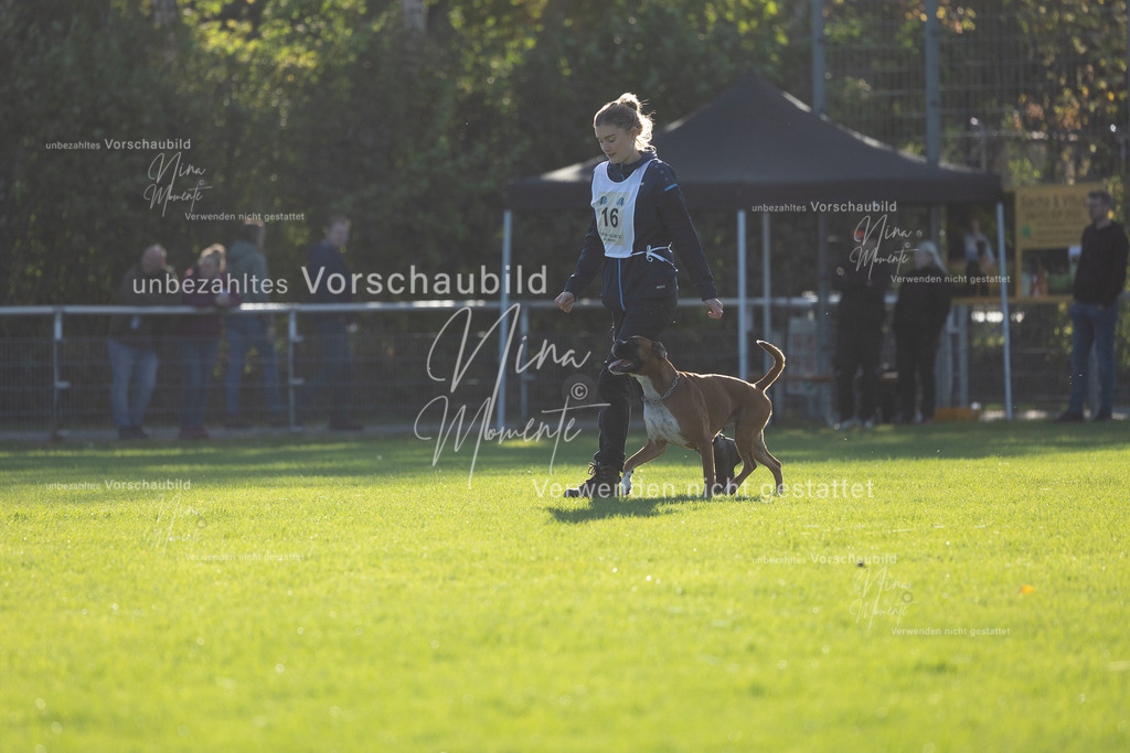 _16A4824 | Einzigartige Fotos von Hunden & Menschen –Actionfotos, Portraits, Vereinsaufnahmen & Paarshootings – authentisch, lebendig & mit Herz.