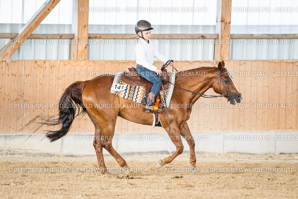 DSC09056 | Pferdegrafie